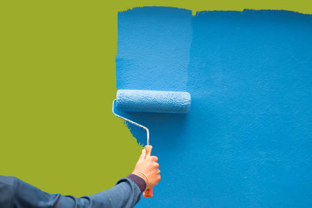 Best Eco-Friendly and Low-VOC Painting  in Langley, SC